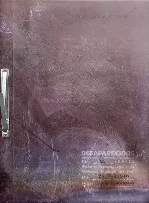 Fernando Fujimoto – Desaparecidos