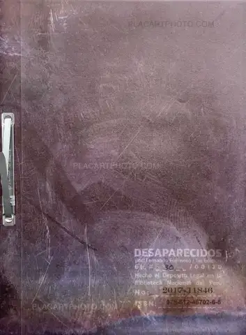 Fernando Fujimoto – Desaparecidos