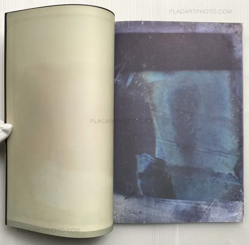Fernando Fujimoto – Desaparecidos