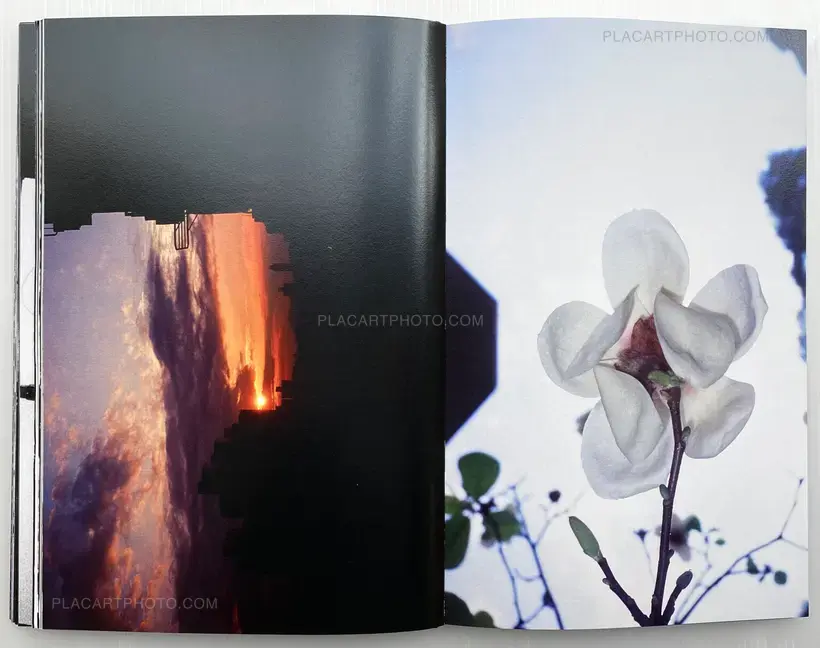 Chan Wai Kwong – LOVE LOVE LOVE LOVE MORE