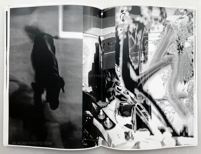 Kenta Cobayashi – EVERYTHING_1 BOOTLEG EDITION