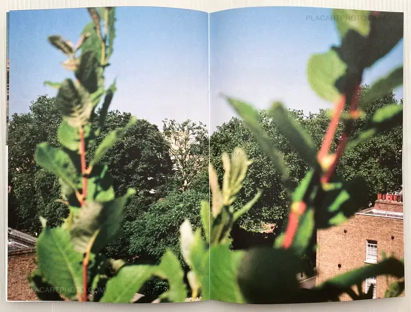 Daisuke Hamada – somewhere, over