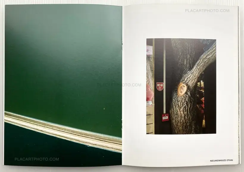 Collective – OTANI NIEUWENHUIZE