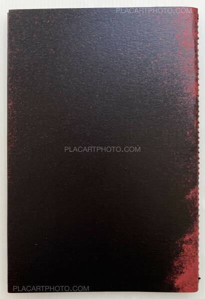 Fernando Fujimoto,SN/T Fernando Fujimoto,SN/T