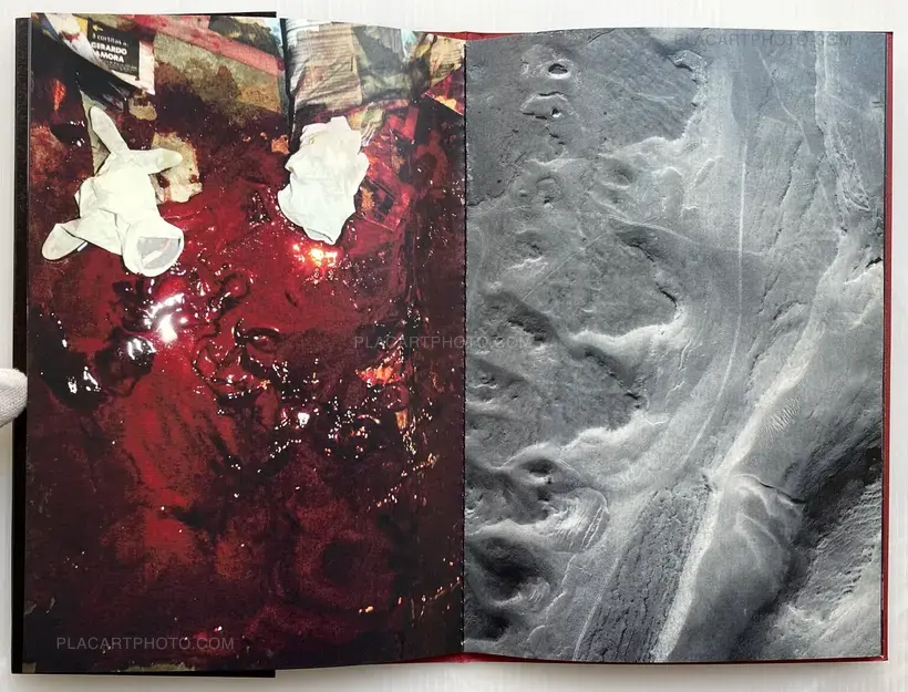 Fernando Fujimoto – SN/T