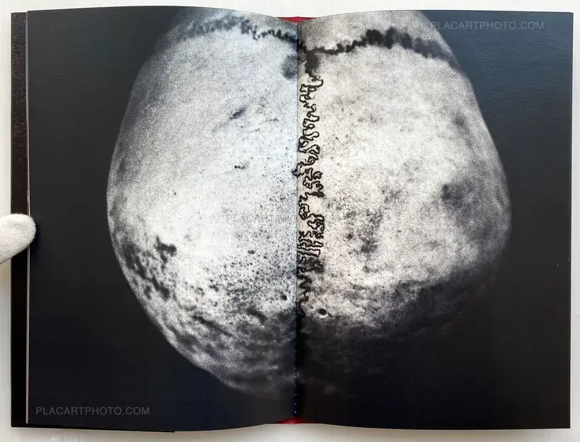 Fernando Fujimoto – SN/T