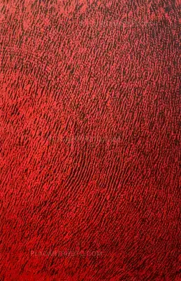 Jeremy Jansen – Dirty Negative