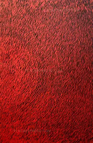 Jeremy Jansen – Dirty Negative