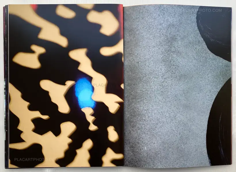 Guillaume Blanc-Marianne & Angèle Châtenet – Scopic drive