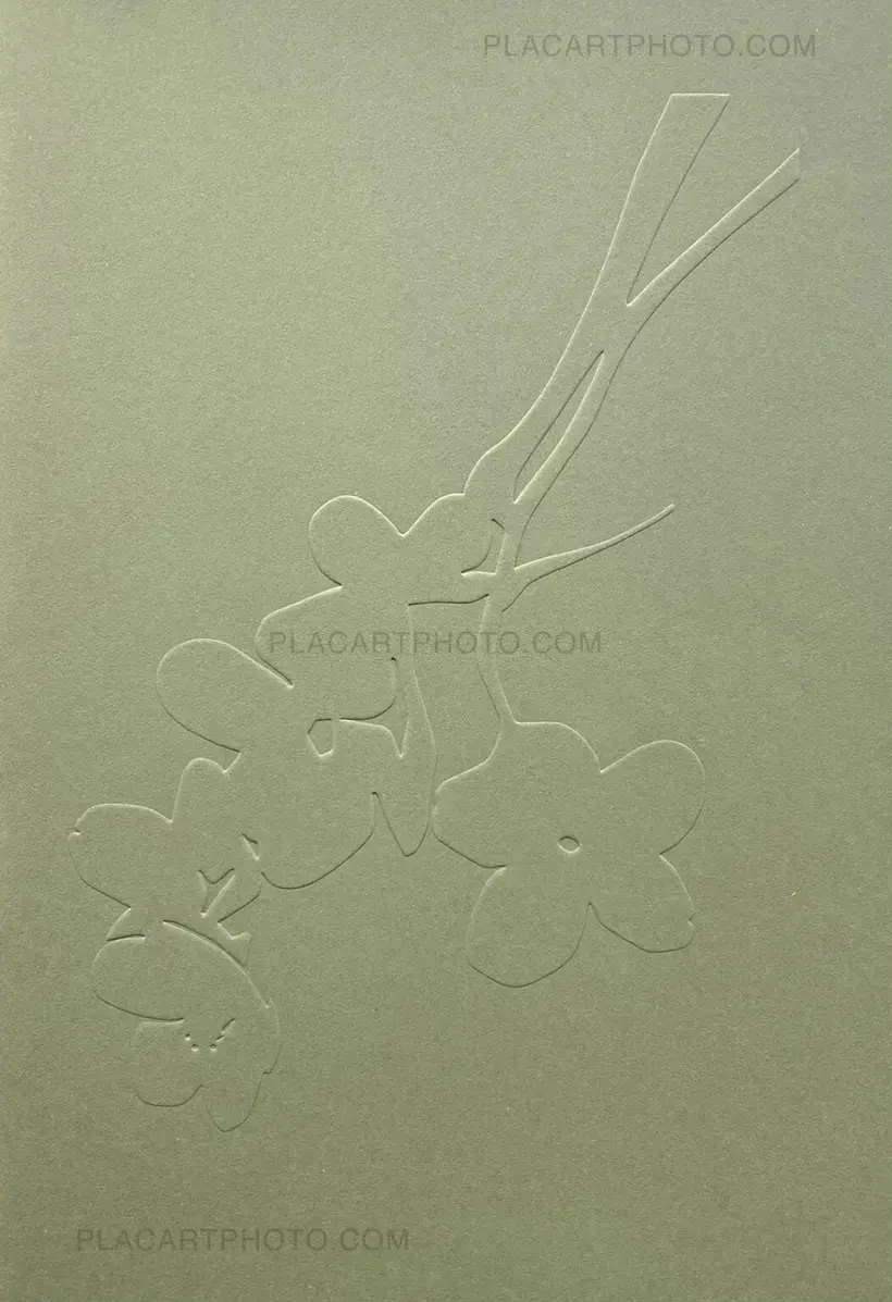 Yoshinori Mizutani – Sakura