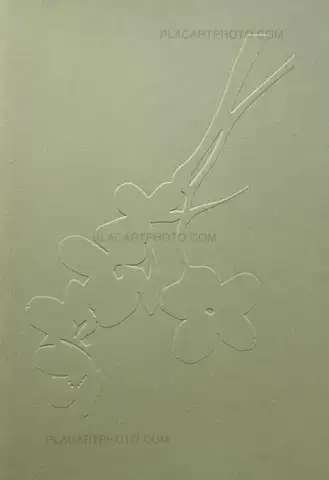 Yoshinori Mizutani – Sakura