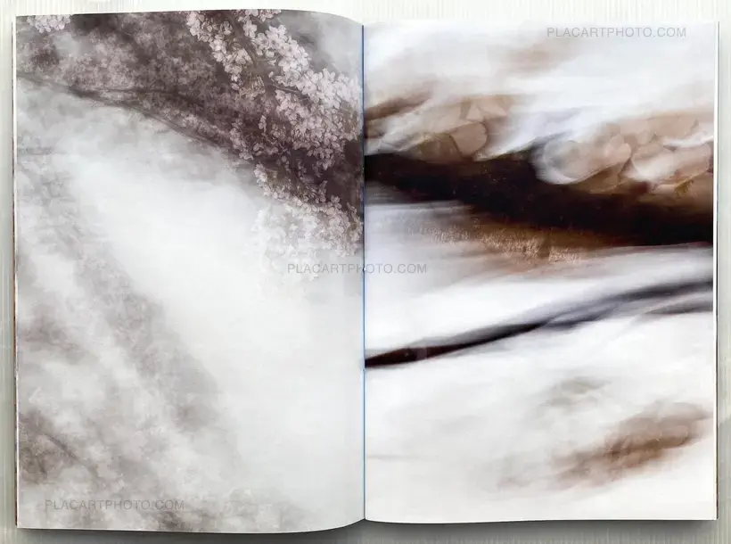 Yoshinori Mizutani – Sakura