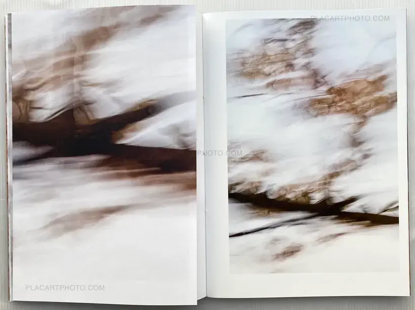 Yoshinori Mizutani – Sakura