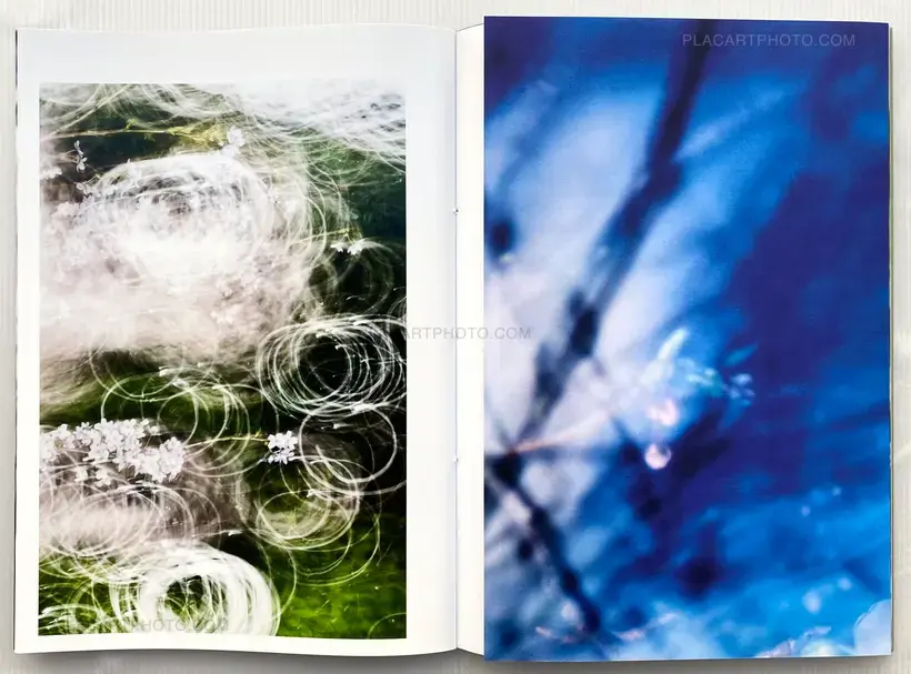 Yoshinori Mizutani – Sakura