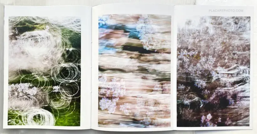 Yoshinori Mizutani – Sakura