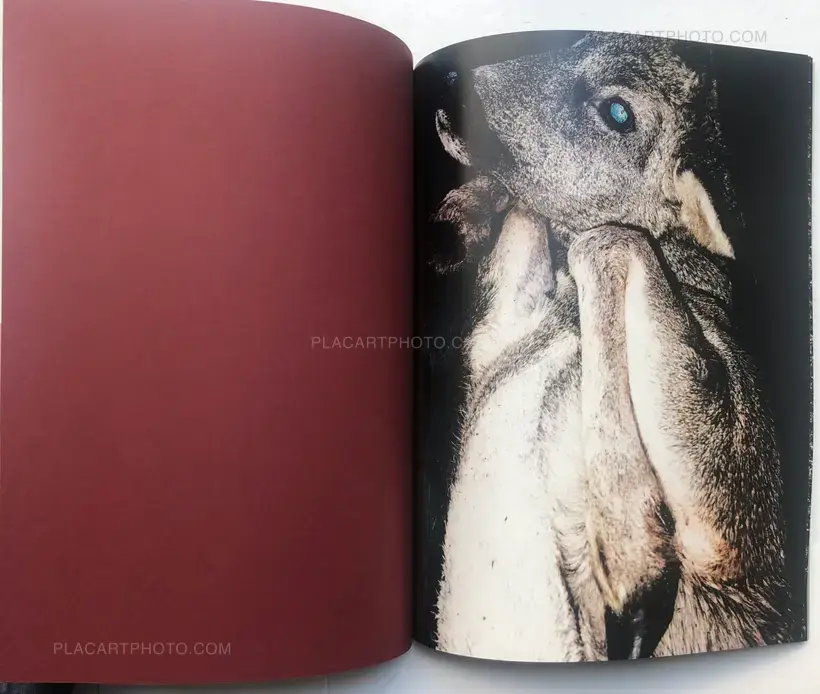 Elie Monferier – FABLE (Signed edt of 150)