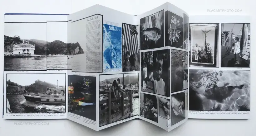 Ed Templeton – Adventures in the nearby far away
