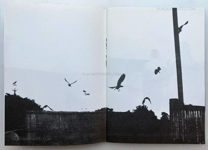 Collective – IMPORTANT SET OF BOOKS BY EDITIONS 1991