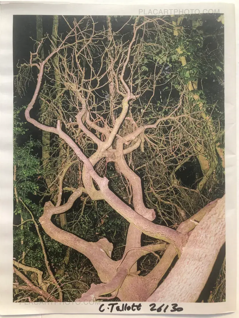 Charlie Tallott – Small Enough To Sit Under A Mushroom (Signed Edt of 30)