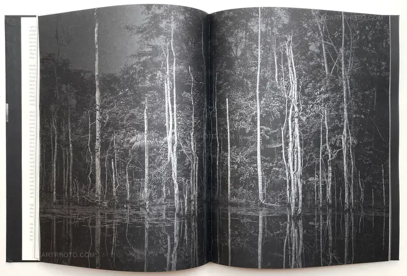 Elliott Verdier – REACHING FOR DAWN (Signed)
