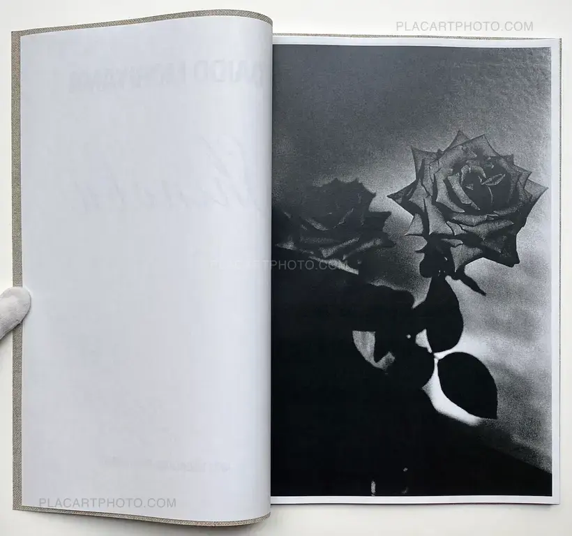 Daido Moriyama – Shinobu (Signed and numbered)