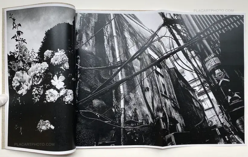 Daido Moriyama – Shinobu (Signed and numbered)