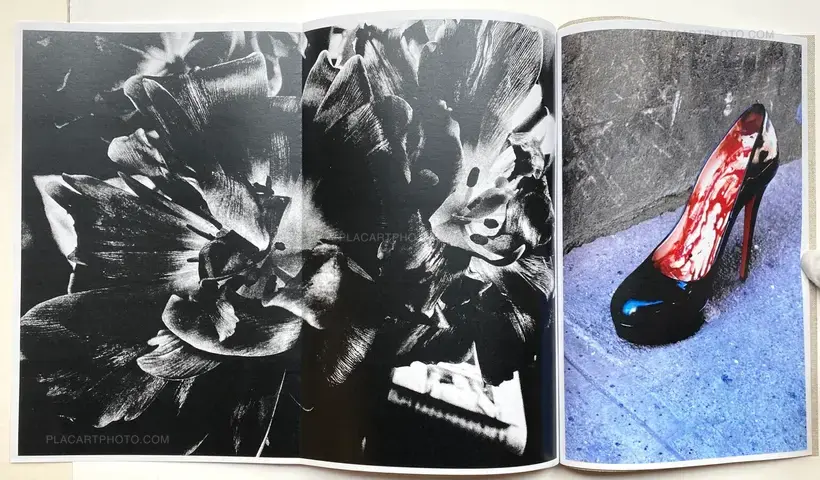 Daido Moriyama – Shinobu (Signed and numbered)