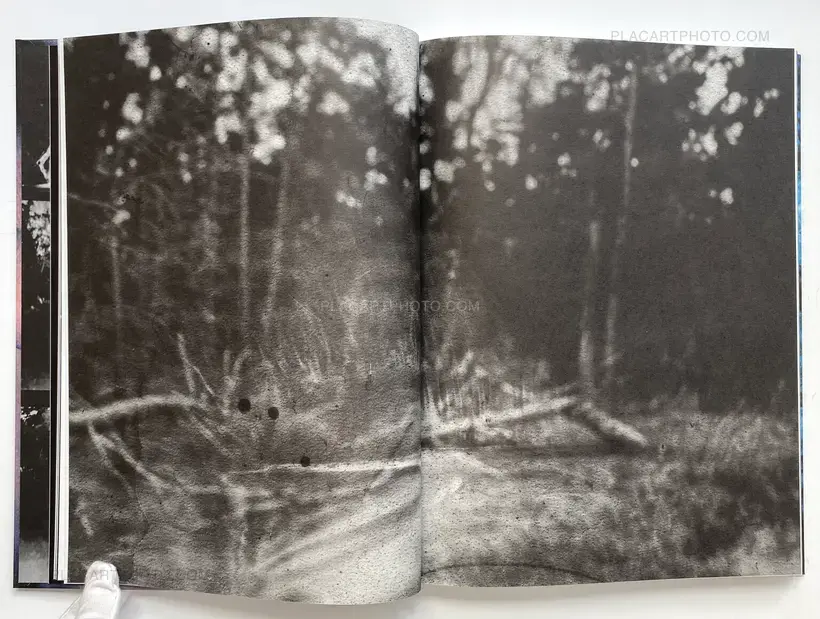 Gaël Bonnefon – Elegy for the Mundane