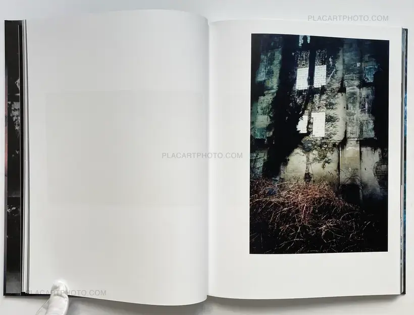 Gaël Bonnefon – Elegy for the Mundane