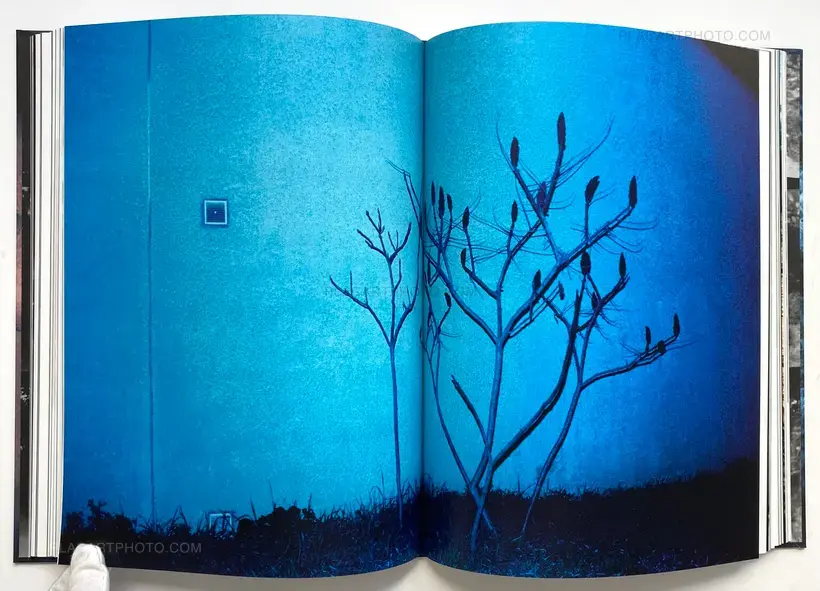 Gaël Bonnefon – Elegy for the Mundane