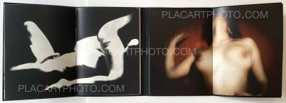 Collective,Unseen Seen (Limited edtion of 150) Collective,Unseen Seen (Limited edtion of 150)