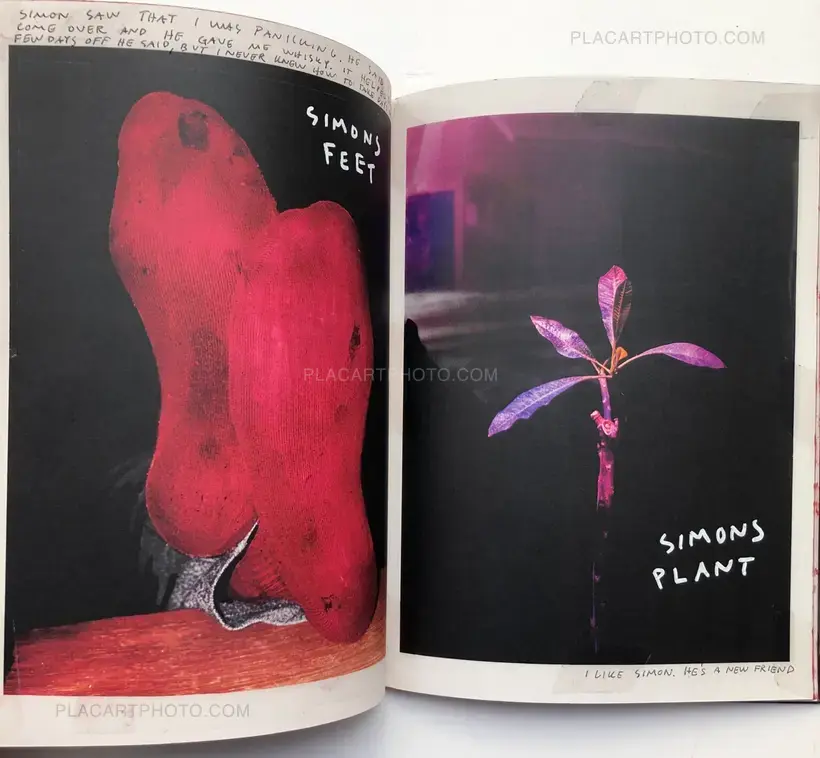 Theo Elias – RED / JANUARY 2021 (SPECIAL EDT OF 10 WITH A PRINT)