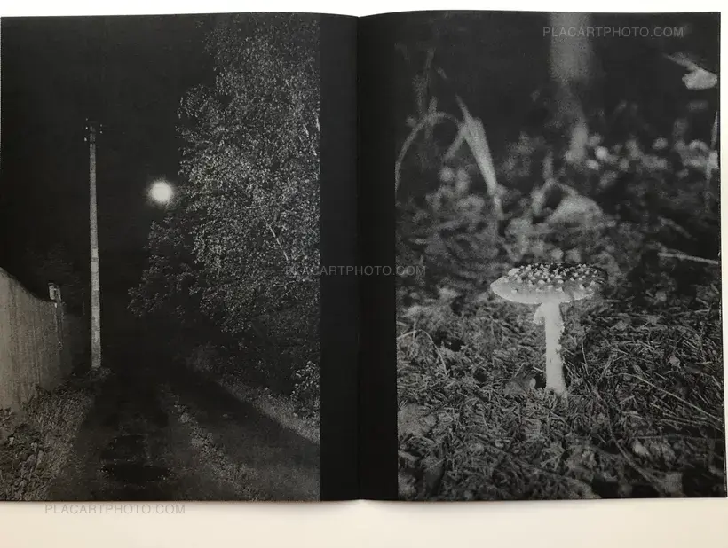 Vladimir Besson – Gor'Kaya Luna (Signed and numbered)