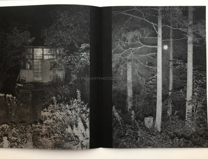 Vladimir Besson – Gor'Kaya Luna (Signed and numbered)