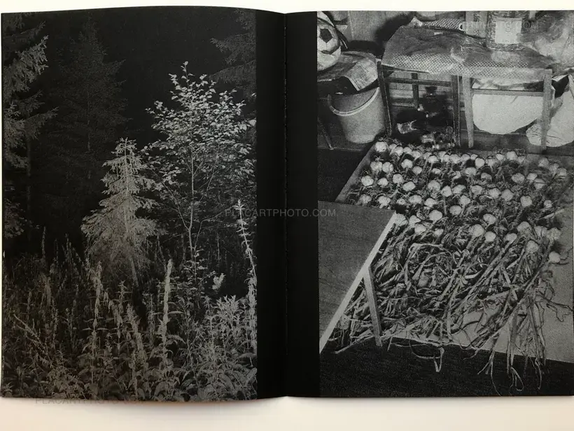 Vladimir Besson – Gor'Kaya Luna (Signed and numbered)