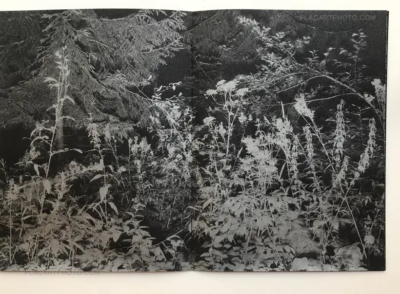 Vladimir Besson – Gor'Kaya Luna (Signed and numbered)