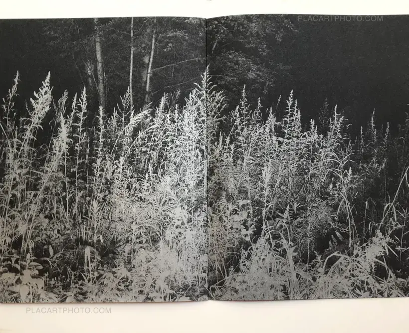 Vladimir Besson – Gor'Kaya Luna (Signed and numbered)