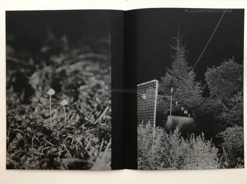 Vladimir Besson – Gor'Kaya Luna (Signed and numbered)