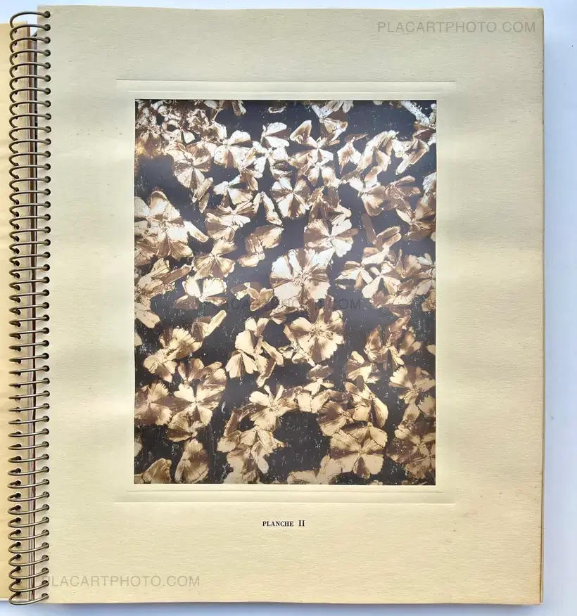 Laure Albin Guillot – MICROGRAPHIE DÉCORATIVE