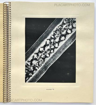 Laure Albin Guillot,MICROGRAPHIE DÉCORATIVE Laure Albin Guillot,MICROGRAPHIE DÉCORATIVE