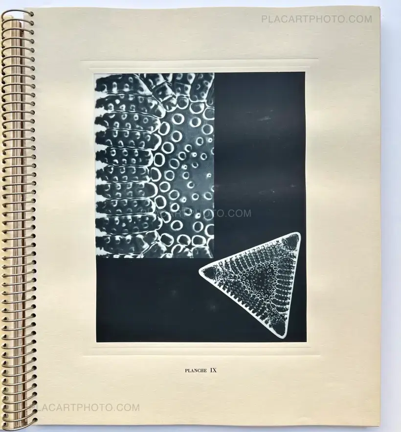 Laure Albin Guillot – MICROGRAPHIE DÉCORATIVE