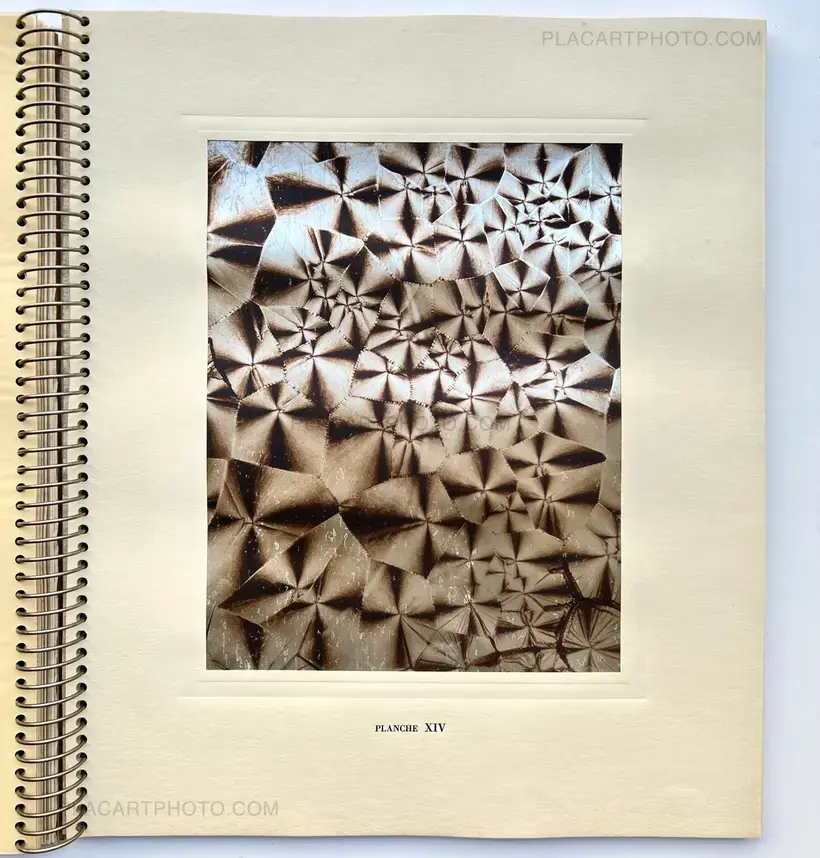 Laure Albin Guillot – MICROGRAPHIE DÉCORATIVE