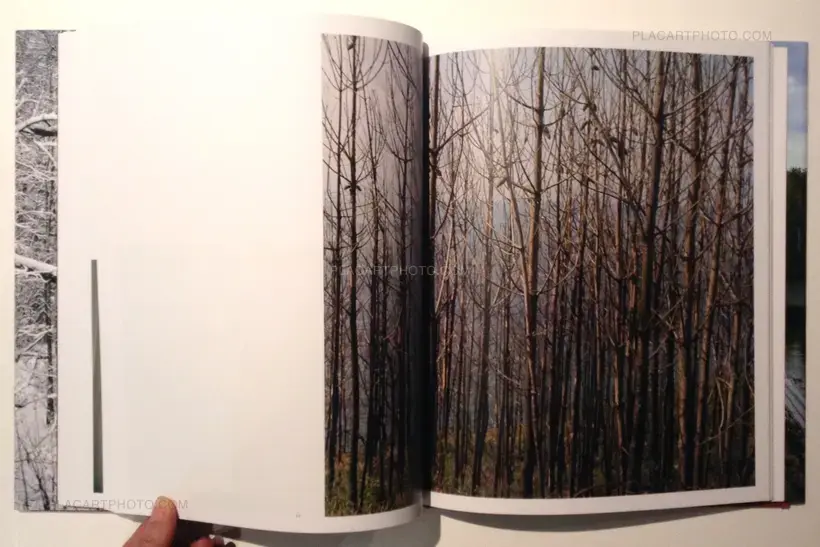 Nina Korhonen – Rewind the photographs (Signed)