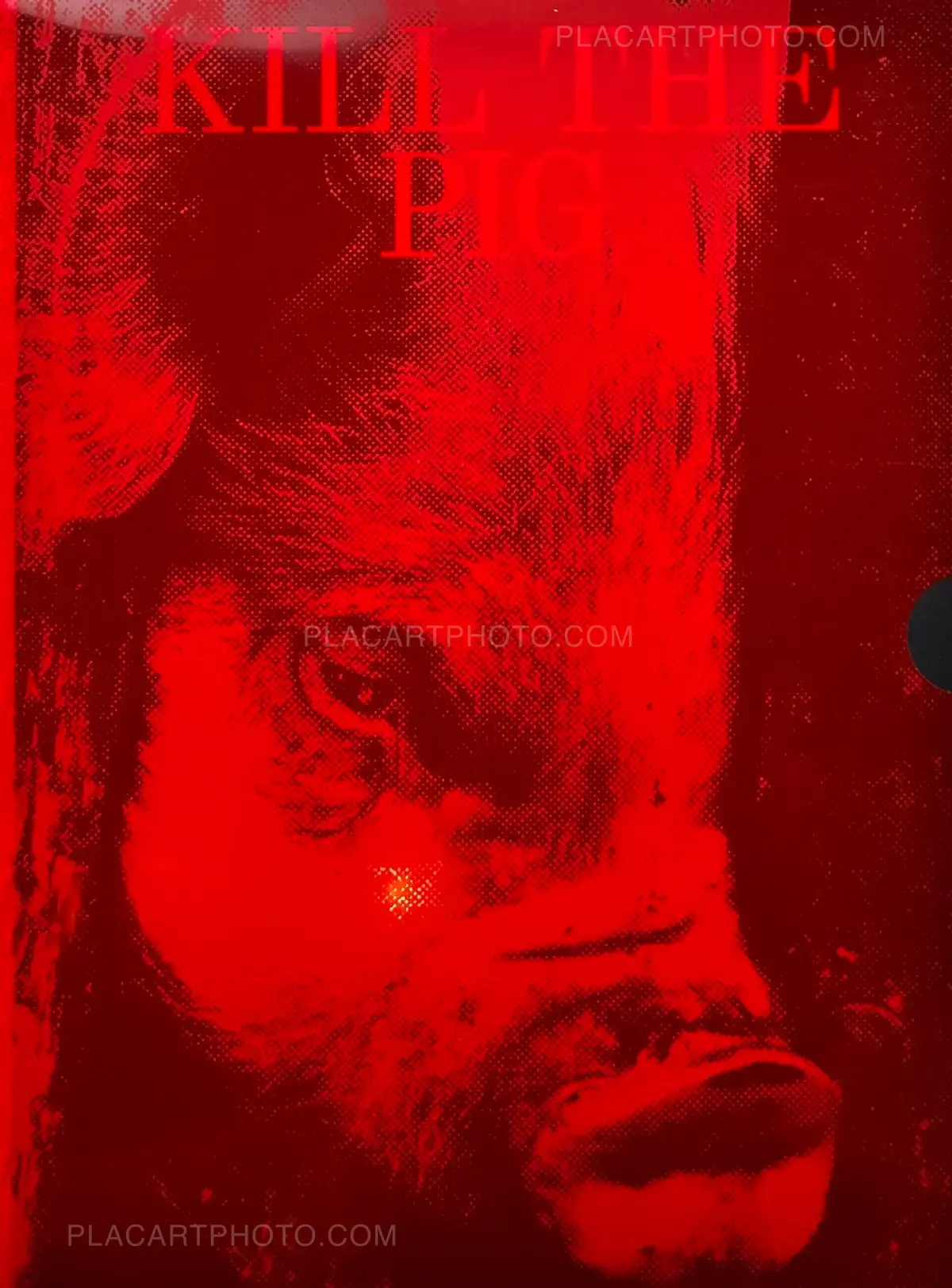 アート・デザイン・音楽 KILL THE PIG MASAHISA FUKASE Masahisa Fukase, KILL THE PIG, the (M) éditions, 2021 | Le Plac