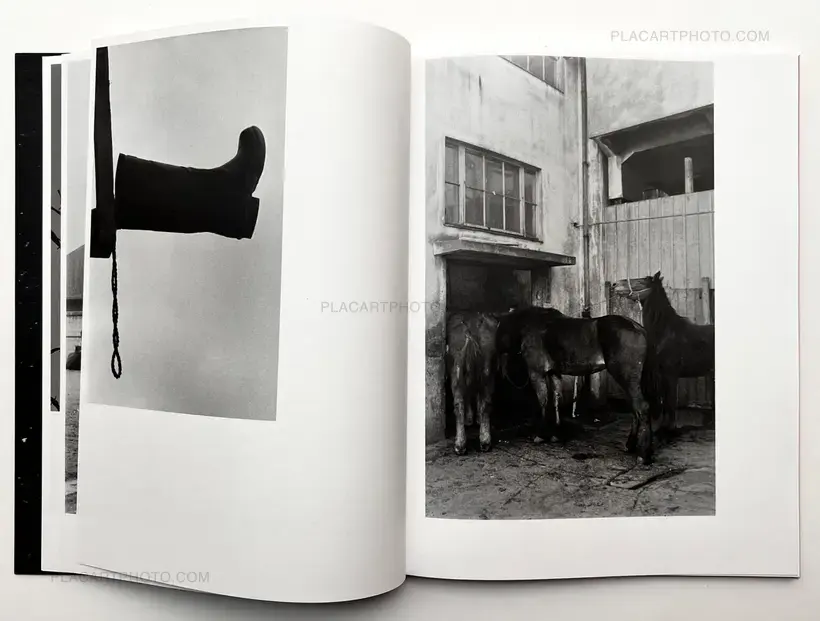 Masahisa Fukase – KILL THE PIG