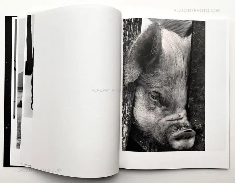 Masahisa Fukase – KILL THE PIG