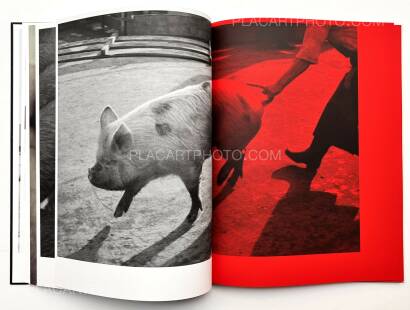 Masahisa Fukase,KILL THE PIG