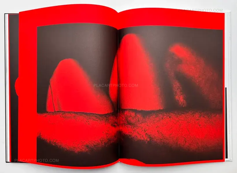 Masahisa Fukase – KILL THE PIG