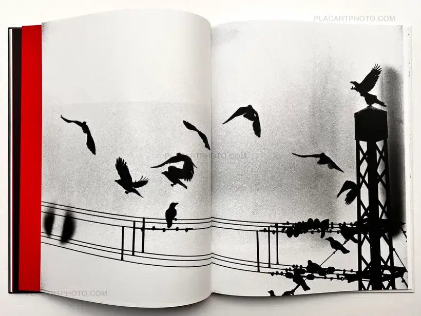 Masahisa Fukase – KILL THE PIG