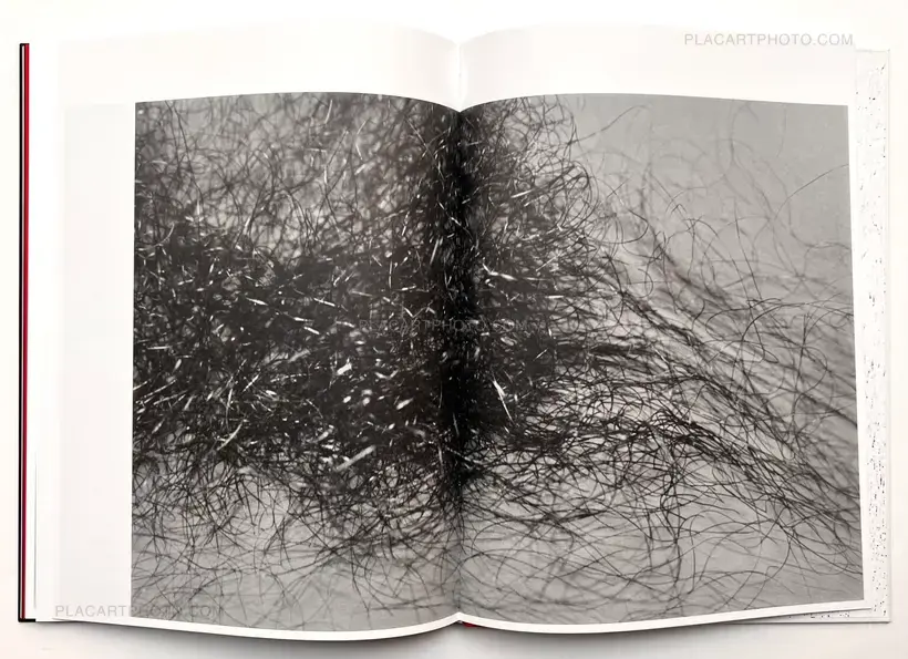 Masahisa Fukase – KILL THE PIG